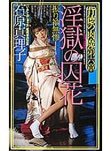 ARTV-007 DVD Cover