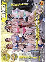 DANDY-784 DVD封面图片 