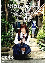 DVDPS-960 DVD Cover