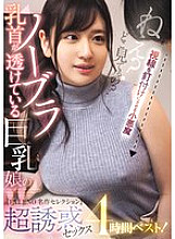 FCDSS-104 DVDカバー画像