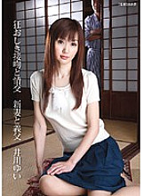 HAVD-662 DVD Cover