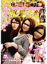 HAVD-530 Sampul DVD
