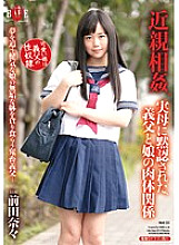 HBAD-333 DVDカバー画像
