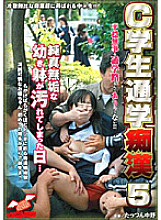 NHDT-389 DVD封面图片 