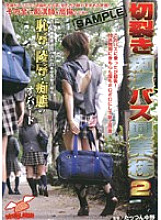 NHDT-402 DVD封面图片 