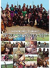 NHDT-548 DVD封面图片 