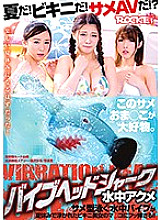 RCTD-131 Sampul DVD