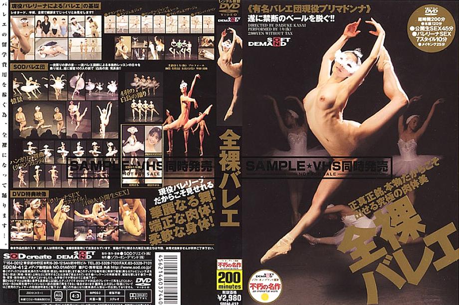 SD-413 DVD封面图片 