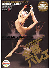 SD-413 DVD封面图片 