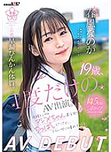 SDAB-271 DVDカバー画像