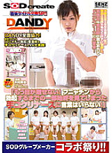 SDDE-294 DVDカバー画像