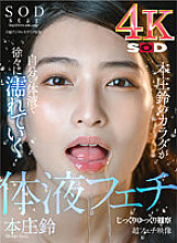 SDHS-019 DVDカバー画像