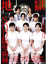 SDMS-395 DVD封面图片 