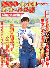 SHH-027 DVDカバー画像