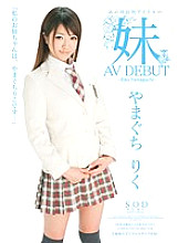STAR-262 DVDカバー画像