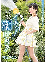 STAR-801 Sampul DVD