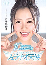 STARS-251 DVD Cover