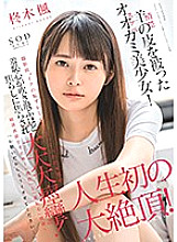 STARS-347 DVD封面图片 