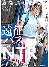 STARS-704 DVDカバー画像