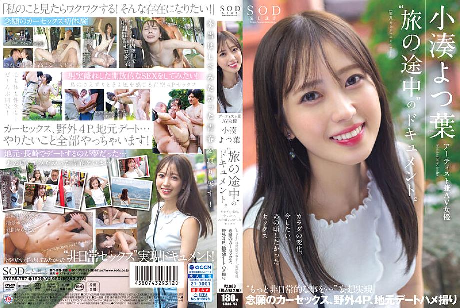 STARS-767 DVDカバー画像