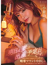 START-260 Sampul DVD