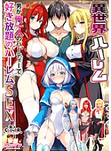 STCVS-027 DVD Cover