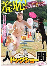 SVDVD-211 Sampul DVD