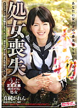SVDVD-304 DVD Cover