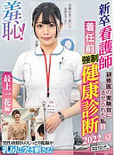 ZOZO-133 DVD封面图片 