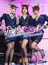 ZOZO-245 DVDカバー画像