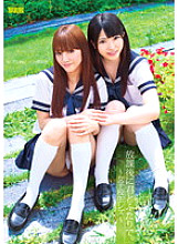 AUKG-151 Sampul DVD