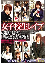 DVH-376 DVD Cover