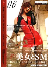 BS-06D DVD Cover