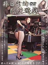 PH-24 DVD封面图片 