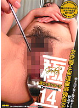 SWS-008 DVD封面图片 