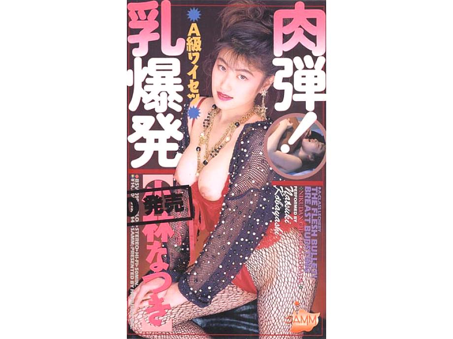 BSV-019 DVD封面图片 