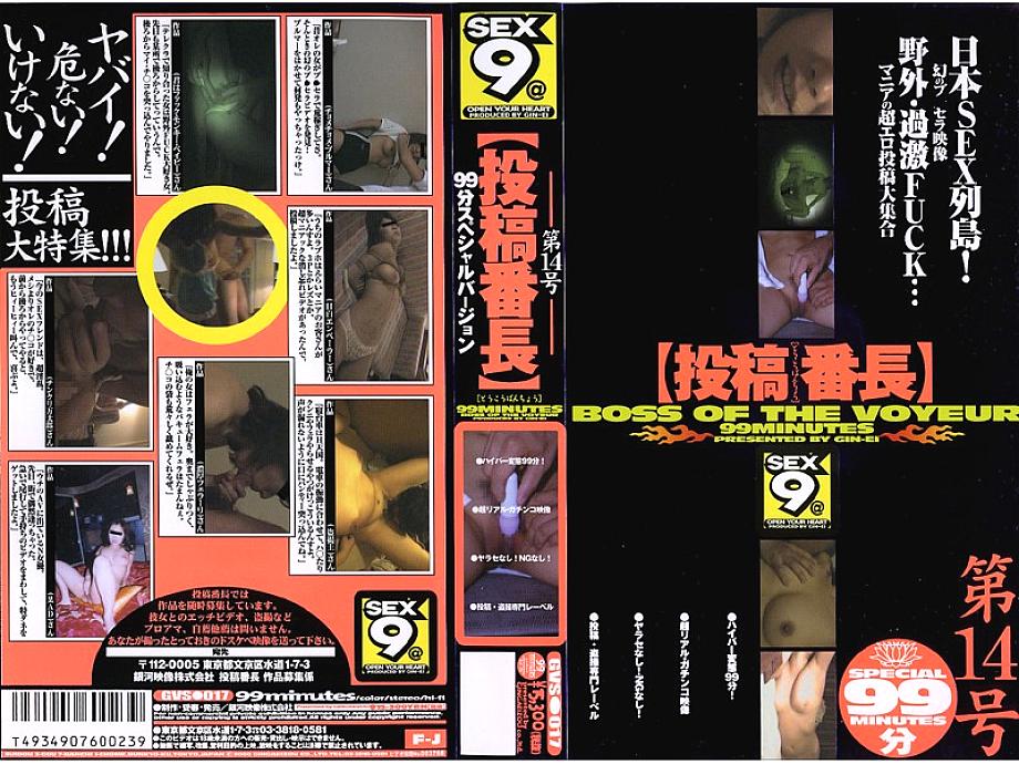 GVS-017 DVD封面图片 