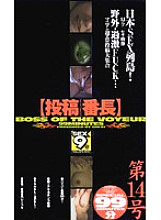 GVS-017 DVD封面图片 