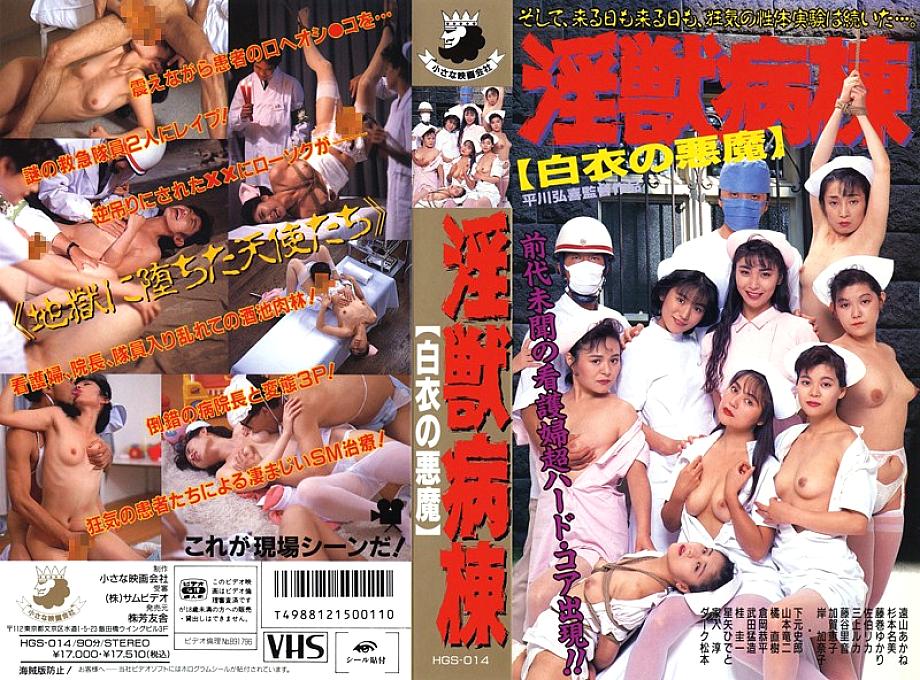 HGS-014 DVDカバー画像