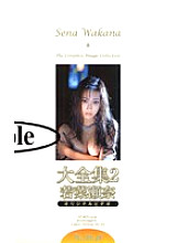 HMP-008 DVD Cover
