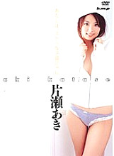 HODV-20219 DVD封面图片 