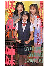 OE-007 Sampul DVD