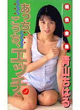 PMC-015 DVDカバー画像