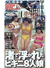 UQ-017 DVD封面图片 