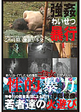 NEWS-45 Sampul DVD