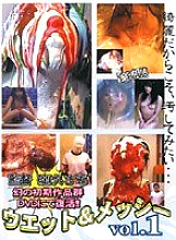 DWET-01 DVDカバー画像