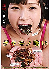 PSD-027 Sampul DVD
