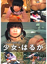 STD-005 Sampul DVD
