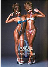 FLAV-090 Sampul DVD