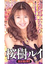 A-035 DVDカバー画像